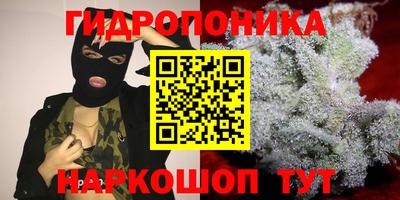 jwh Канаш