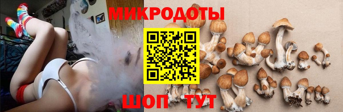даркнет сайт  Галлюциногенные грибы мицелий  Вход с VPN  Кузнецк 