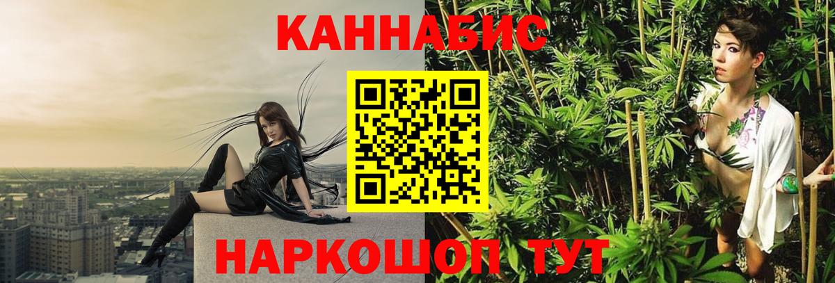 Бошки марихуана гибрид  Канабис план  Кузнецк  Вход с VPN  Каннабис индика 
